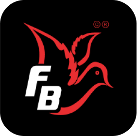 Flybird Interior Download Brochure Logo