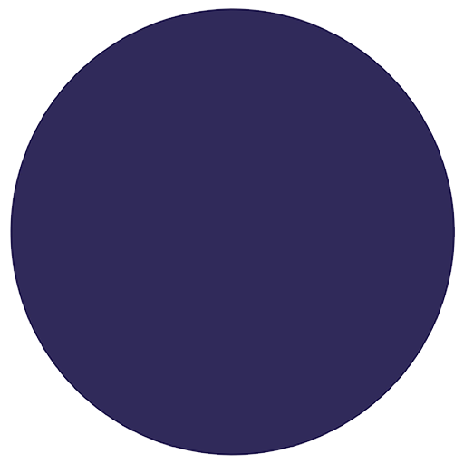 Flybird Interior - Royal Blue