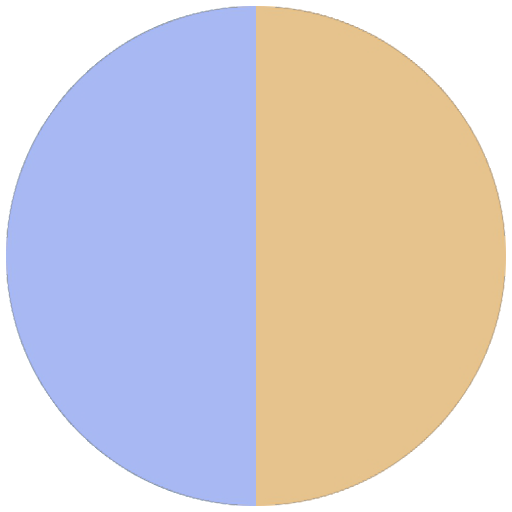 Flybird Interior - Sky Blue + Gold