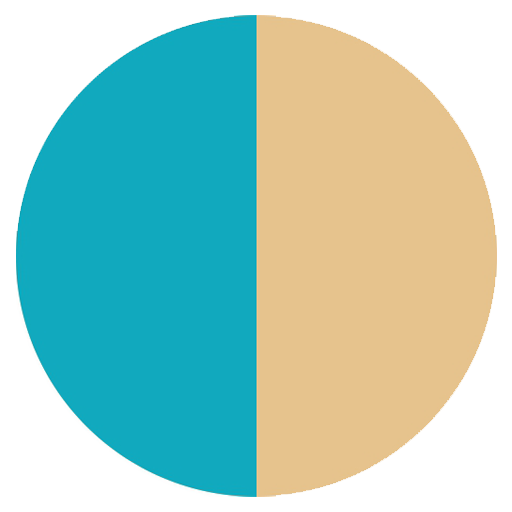 Flybird Interior - Peacock Silver + PVD Gold