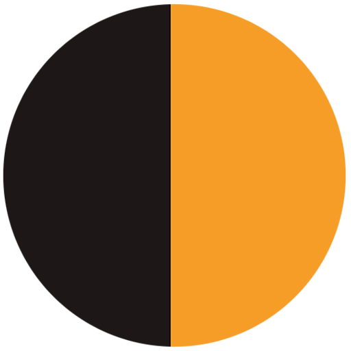 Flybird Interior - Silk Black + Gold