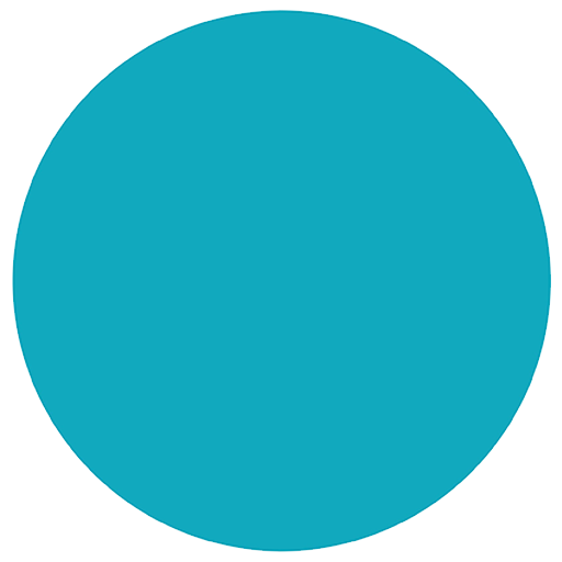 Flybird Interior - Peacock Silver