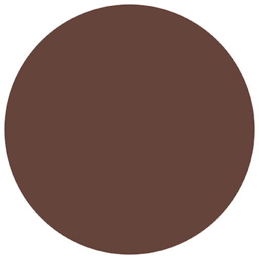 Flybird Interior - Dark Wood