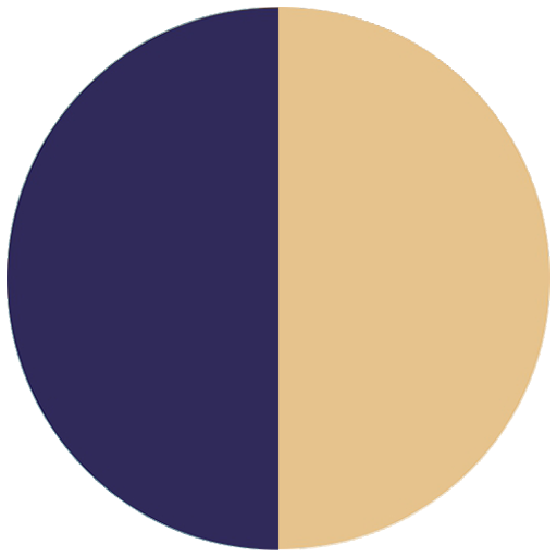 Flybird Interior - Royal Blue + Gold