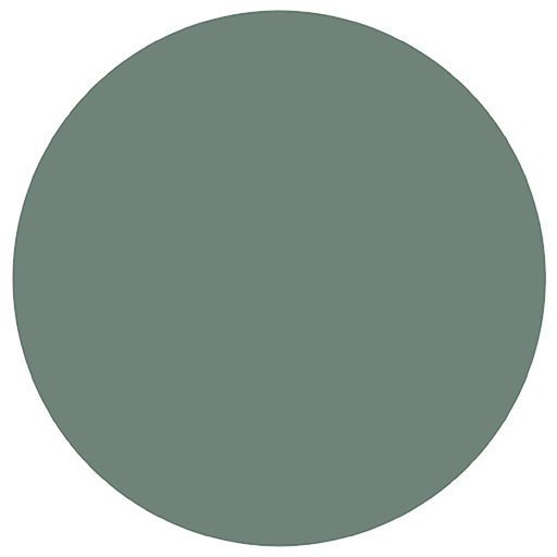 Flybird Interior - Green