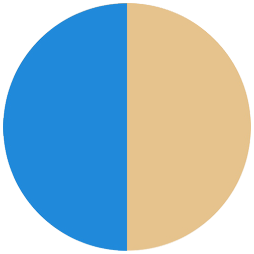 Flybird Interior - Blue + Gold