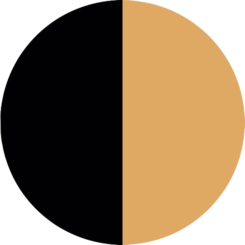 Flybird Interior BLACK + GOLD