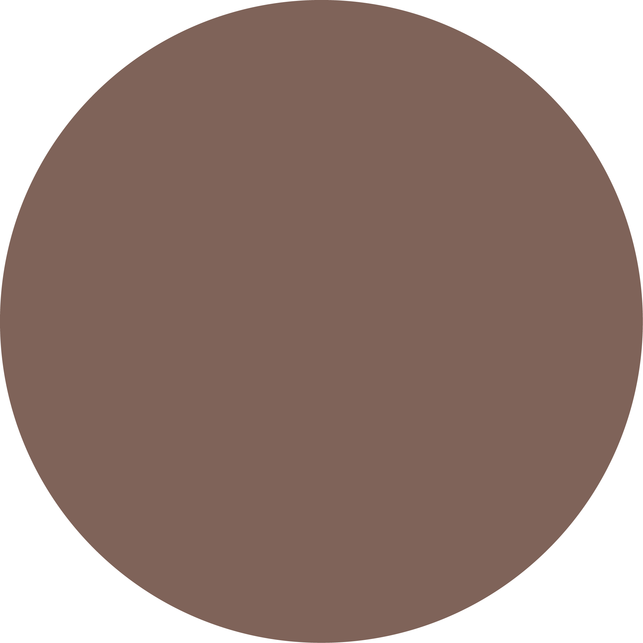 Flybird Interior Brown Shade
