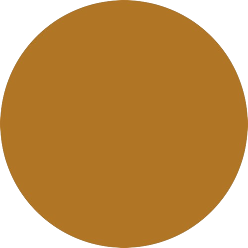 Flybird Interior GOLD SHADE