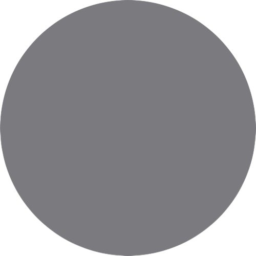 Flybird Interior GREY SHADE