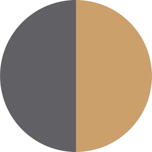 Flybird Interior GREY + GOLD