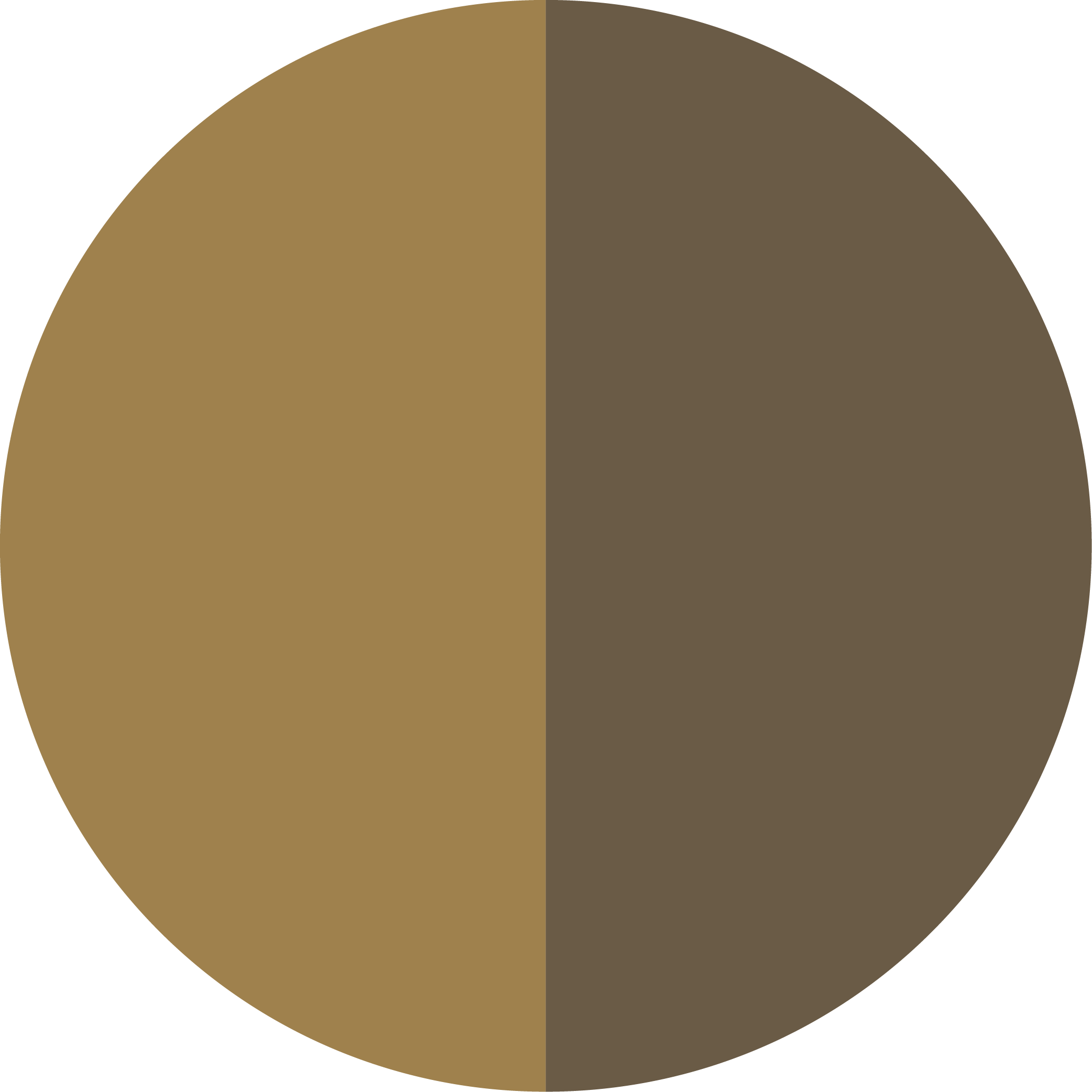 Flybird Interior PVD GOLD + AB MATT