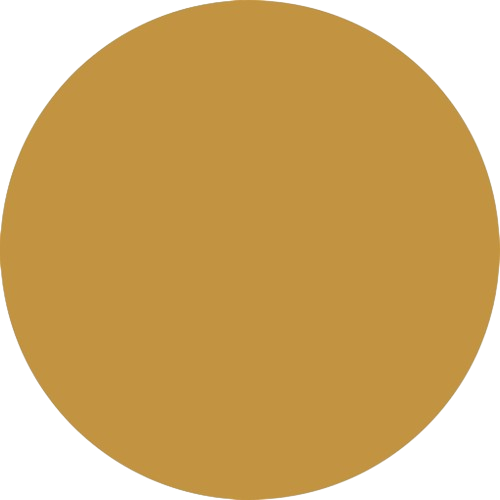 Flybird Interior PVD GOLD