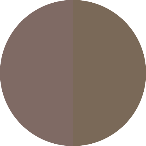 Flybird Interior R GOLD + PVD R GOLD