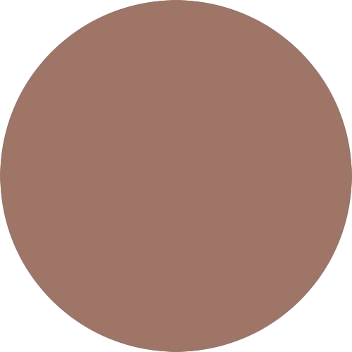 Flybird Interior ROSE GOLD