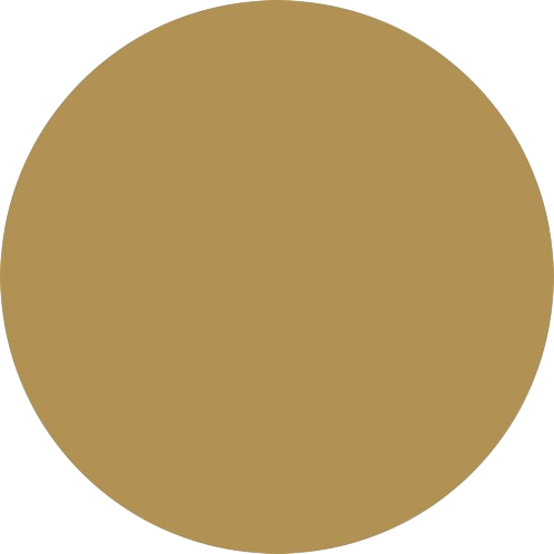 Flybird Interior SILK GOLD