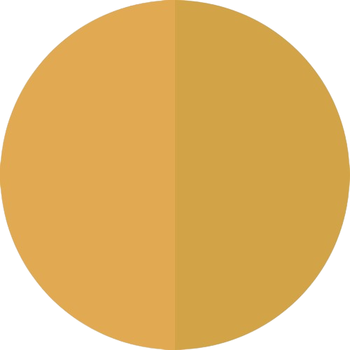 Flybird Interior SILK GOLD + PVD GOLD