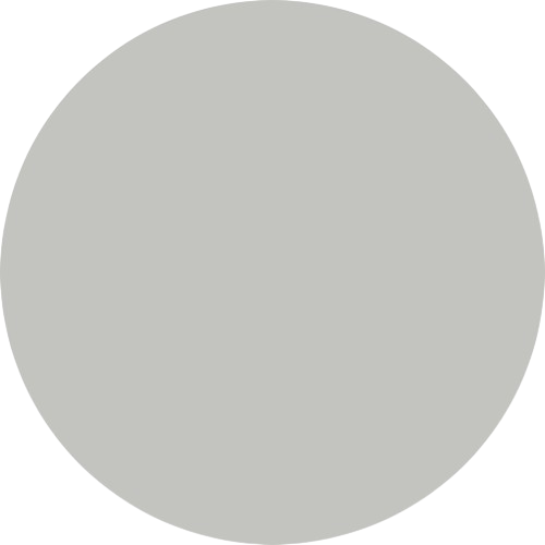 Flybird Interior SILK SS