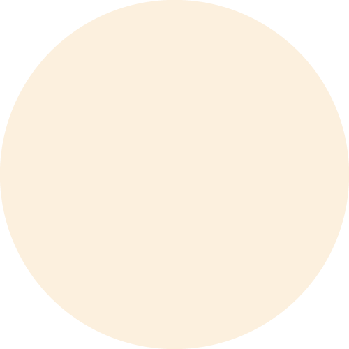 Flybird Interior WHITE GOLD