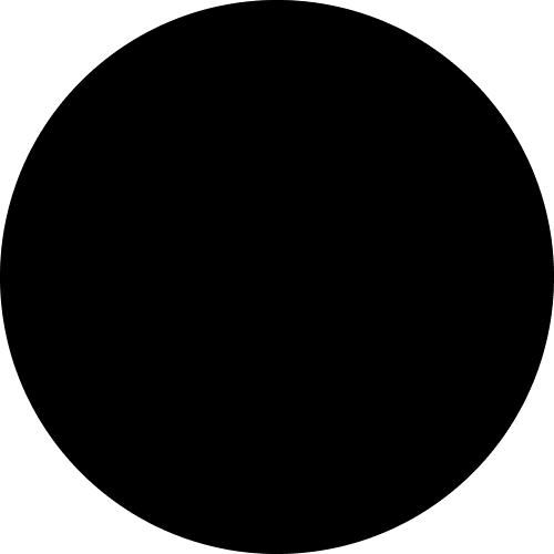 Flybird Interior Black Shade