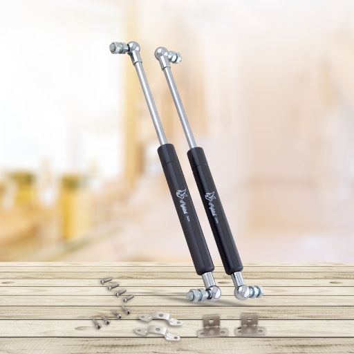 Flybird Interior Gas Spring