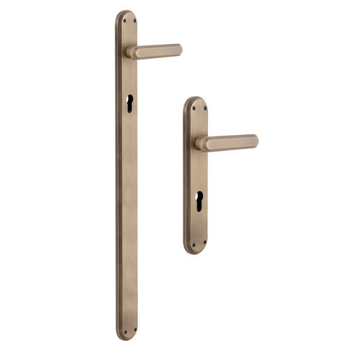 Flybird Interior Brass Mortise Handle FB-ASIRA PLATE