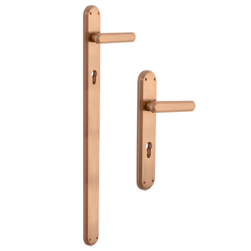 Flybird Interior Brass Mortise Handle FB-ASIRA PLATE
